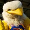 202_SGC8394thumb.jpg